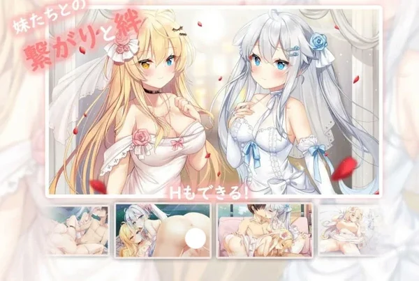 电脑版【日系ADV中文动态CV】想要诉说的心意 官中版【新作8G】步-大壮社区