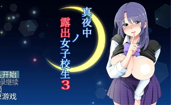 安卓+电脑【RPG露出】真夜中的露出女子校生1.3 骑-大壮社区