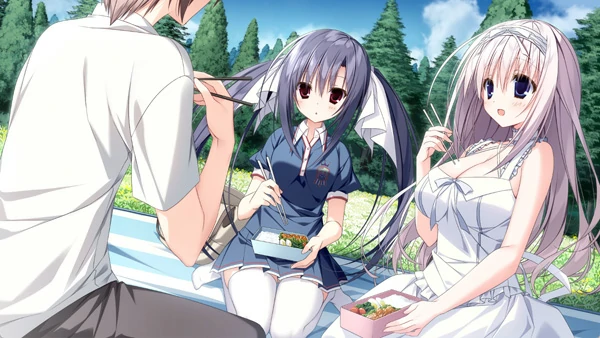 图片[1]-电脑版【精品大型ADV/CV】樱之诗 10 周年纪念版 全CG存档 骑-大壮社区