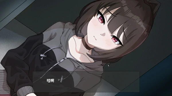 图片[6]-电脑版【像素ACT动态全CV】欠债我捡到了一个离家出走的JK V1.1 官中+存档 步-大壮社区