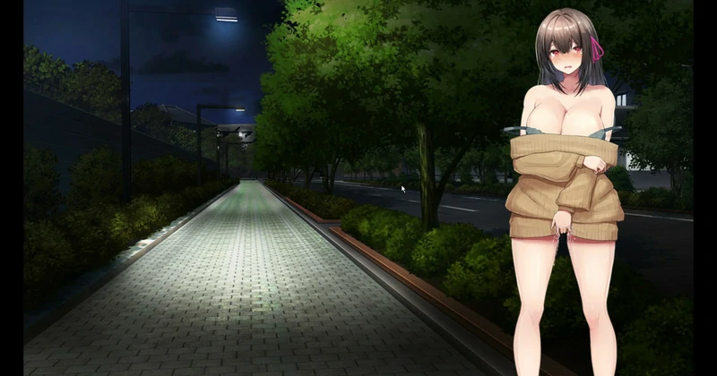 图片[10]-安卓+电脑【RPG露出/全动态/CV】女大学生深夜露出DX深夜露出 骑 joi模拟器玩-大壮社区